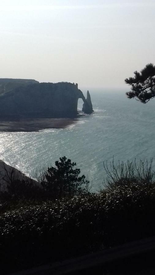 Les Nids Des Falaises Saint-Jouin-Bruneval Exteriér fotografie